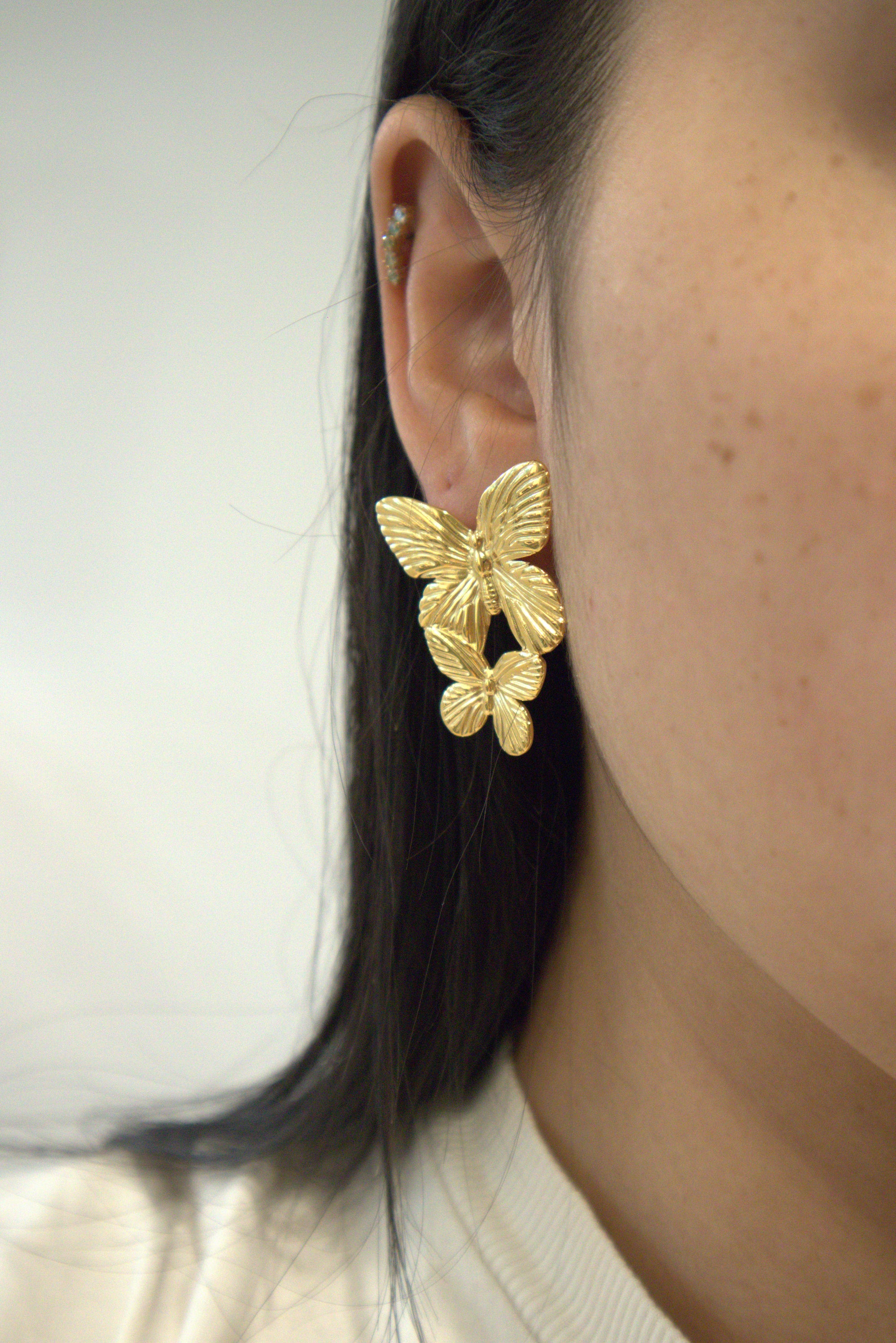 PENDIENTES FAUNA ACERO