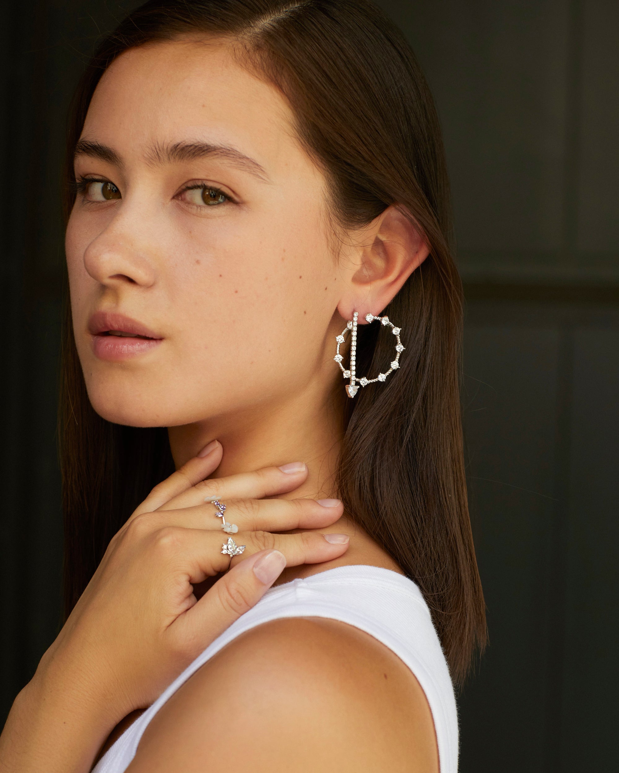 AROS MUSE PLATA